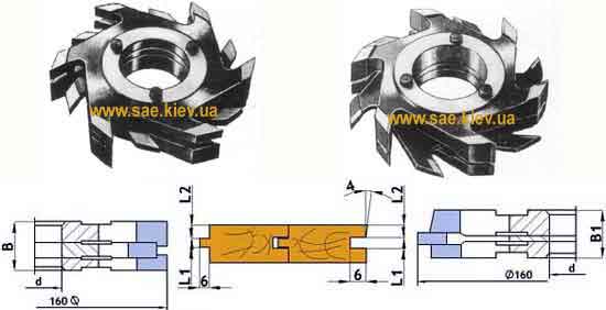 ������� ���� ������� ���� ����� �����